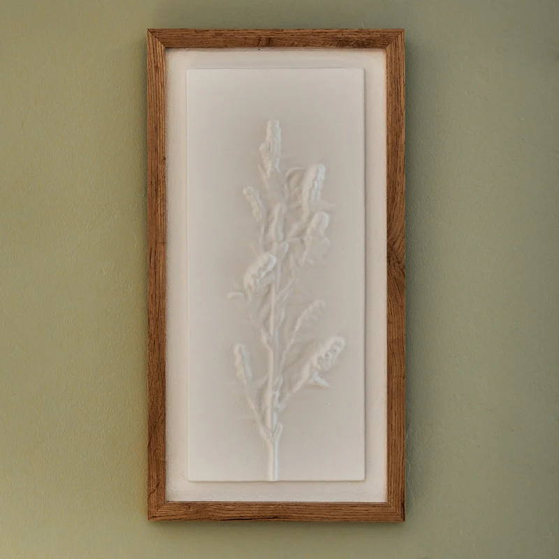 FLORA