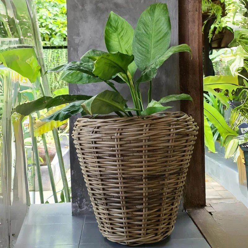 Natur Rattan Pflanzkorb AMRUM Kubu Grey ca.H40cm Pflanztopf