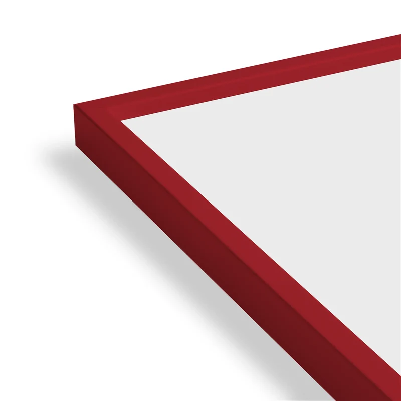 Paper Collective Coloured Frames