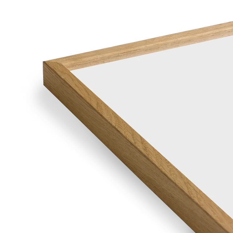 Paper Collective Coloured Frames