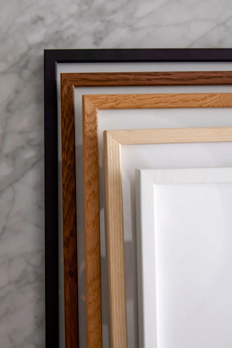 Paper Collective Coloured Frames