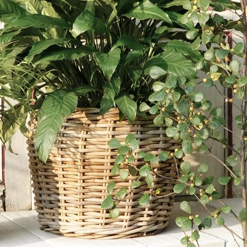 Natur Rattankorb GINI Natural Grey ca.40cm Pflanzkorb Übertopf