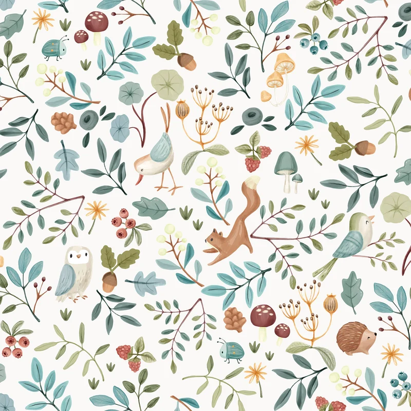 FOREST WONDERS