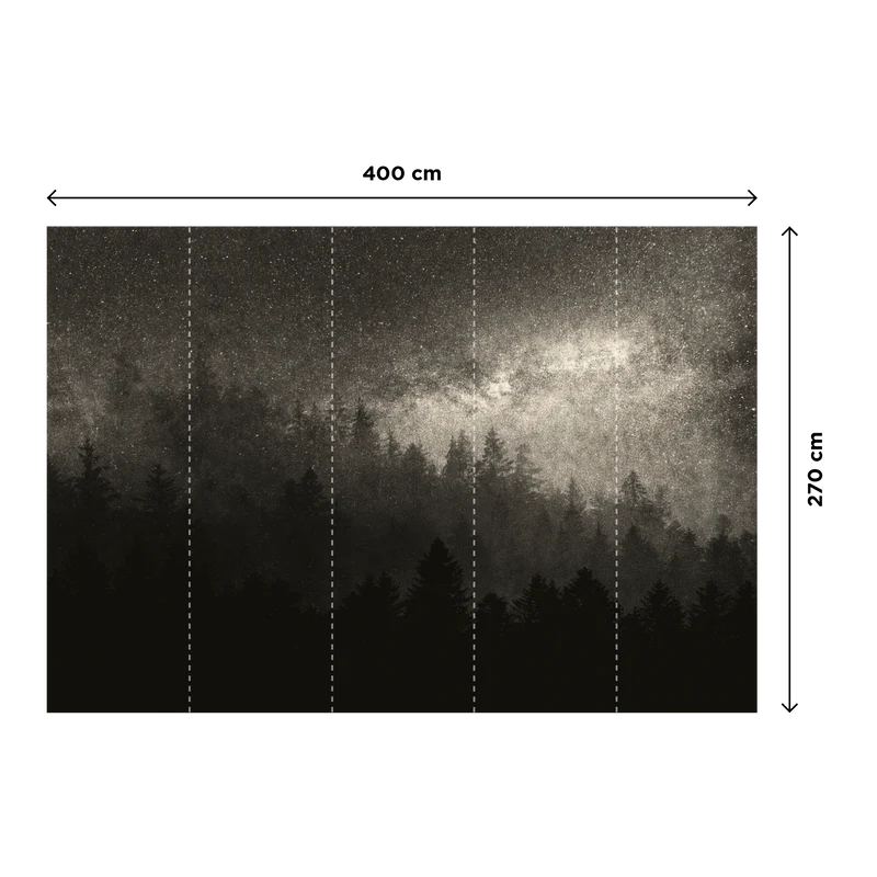 MILKY WAY