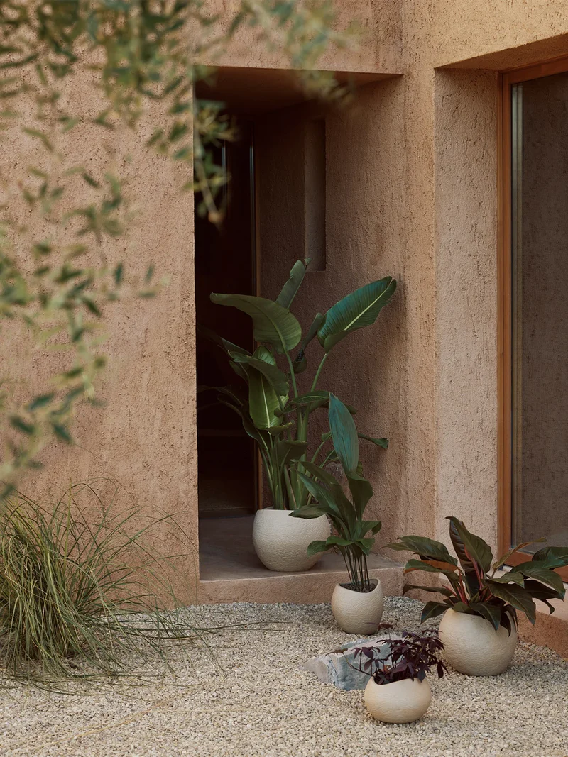 Audo Plantas Pot