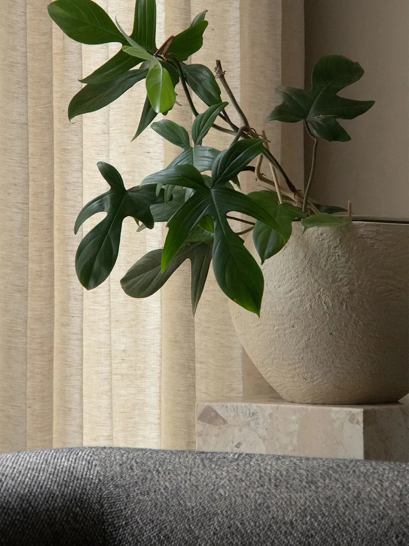 Audo Plantas Pot