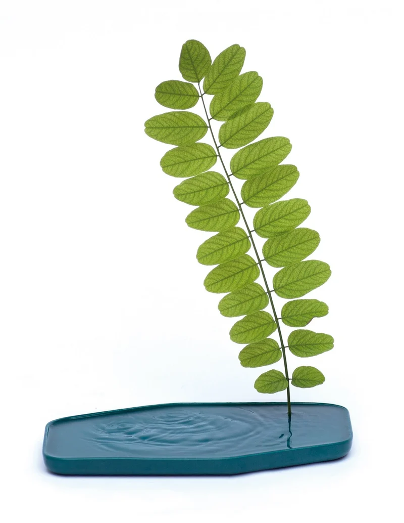 Moustache Plan Vase