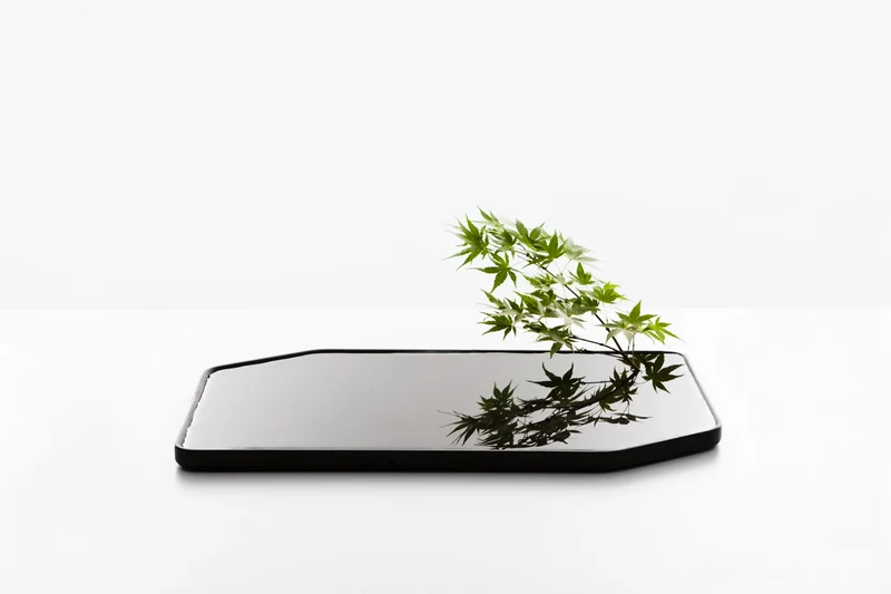 Moustache Plan Vase