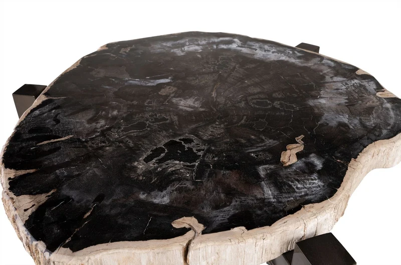 Casa Padrino Luxus Beistelltisch Braun 65 x 65 x H. 67 cm - Beistelltisch mit Tischplatte aus versteinertem Holz und Edelstahlfuß - Luxus Möbel