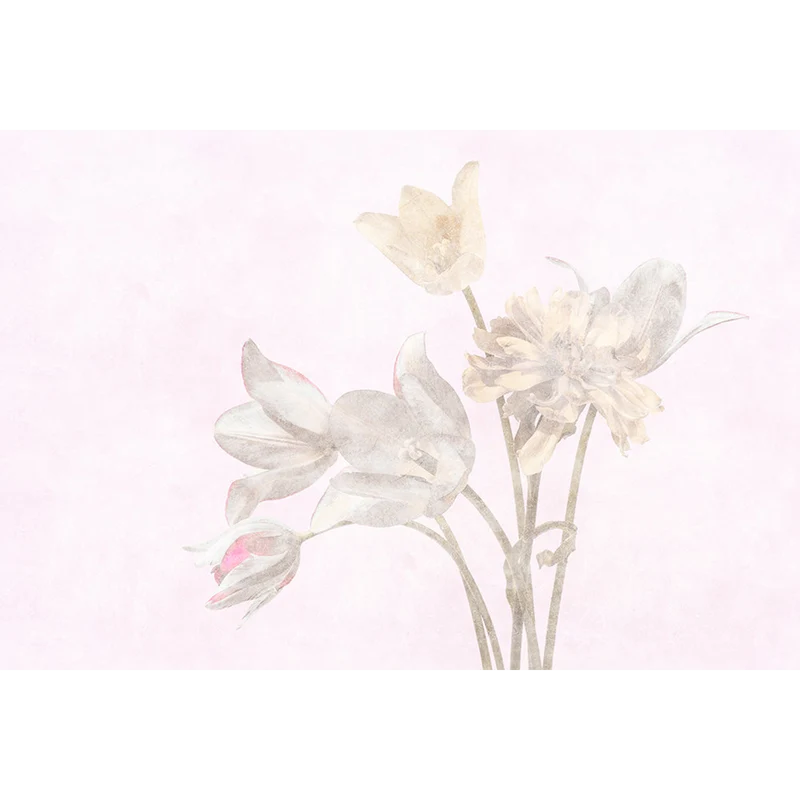 TULIPANI
