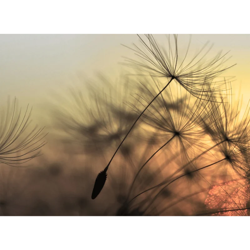 PURITY