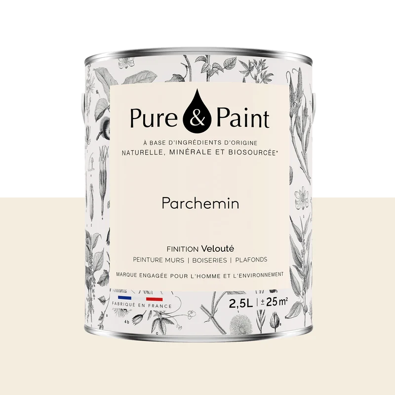 PURE AND PAINT
