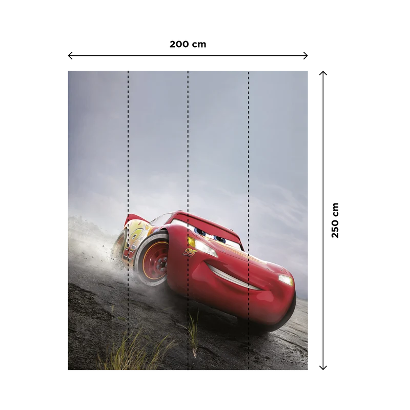 CARS