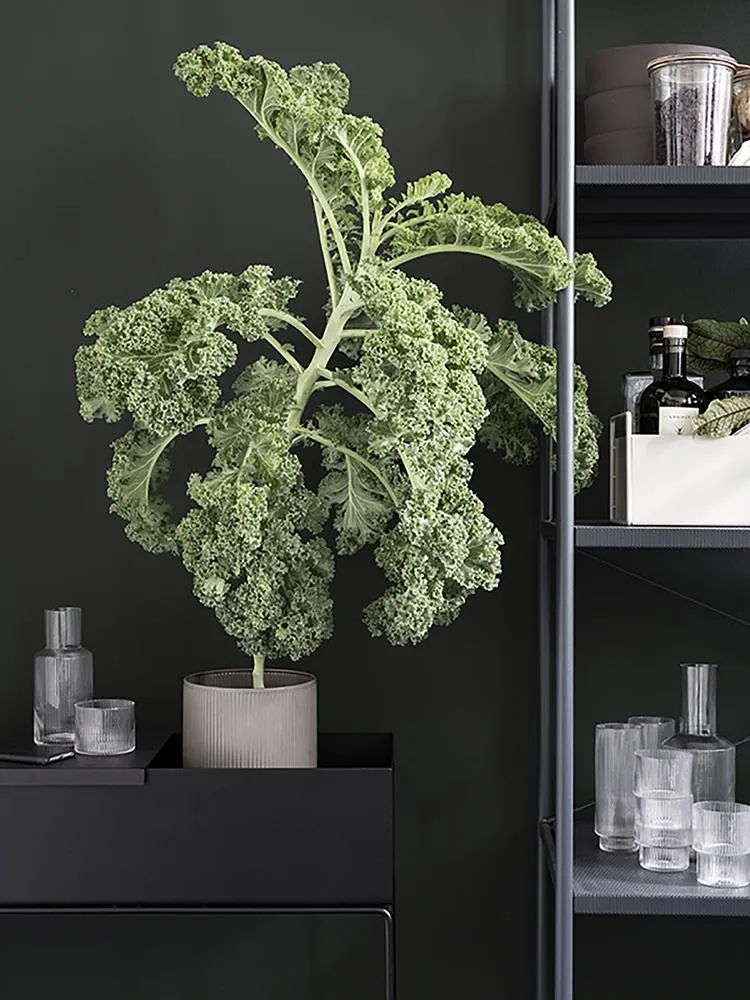 Ferm Living Plant Box