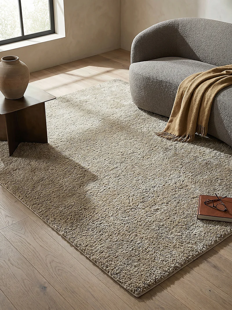 Teppich Hochflor Shaggy-Design, teddyweich