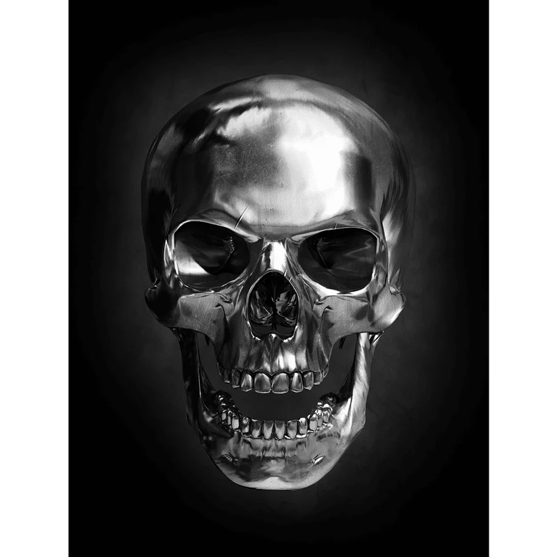 DARK SKULL