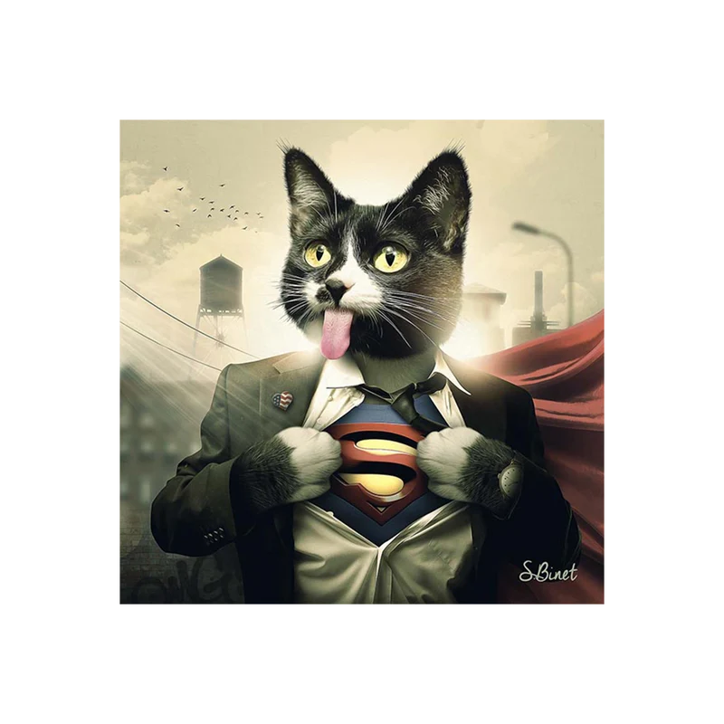 BINET SUPERCAT