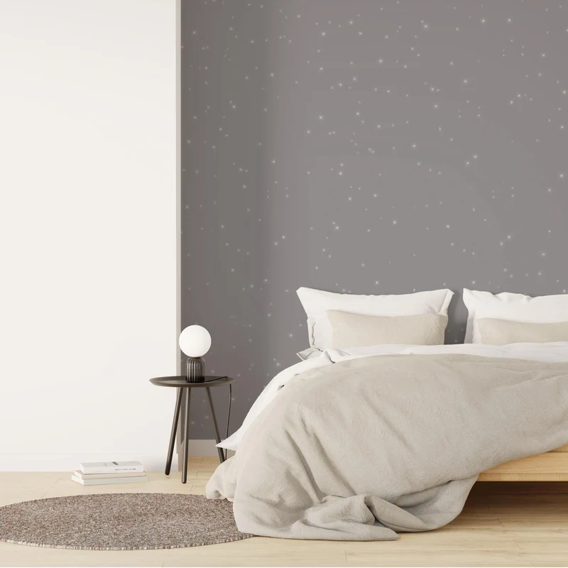 POUSSIÈRE D'ÉTOILES