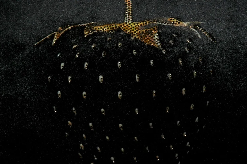Casa Padrino Luxus Deko Kissen Strawberry mit Bling Bling Glitzersteinen Schwarz / Gold 35 x 55 cm - Feinster Samtstoff - Luxus Deko Accessoires