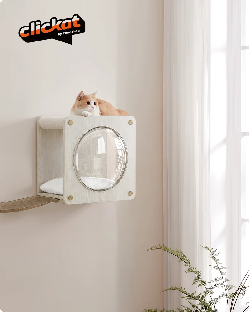 Clickat Collection - No.010 Cat Cave Cat Wall Condo House with Hammock Observation Window Extremely Quick Assembly Unlimited Expandability Replaceable Module and Cushion