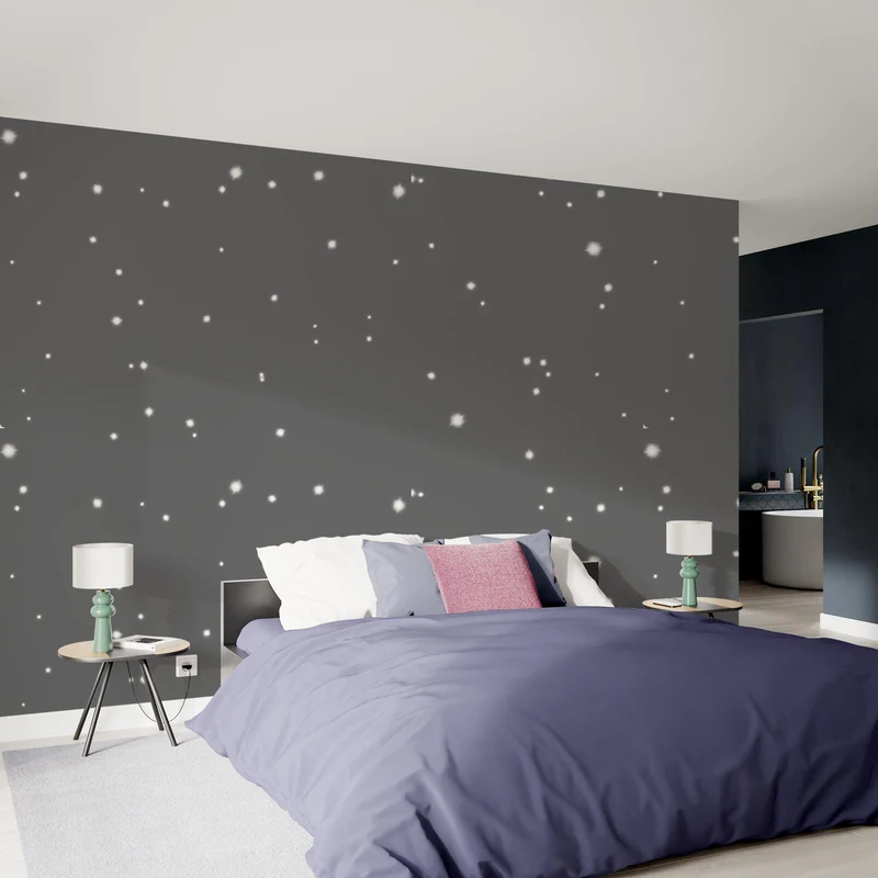 POUSSIÈRE D'ÉTOILES