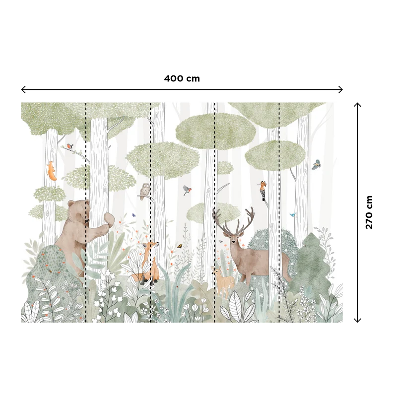 CALM FOREST LIFE