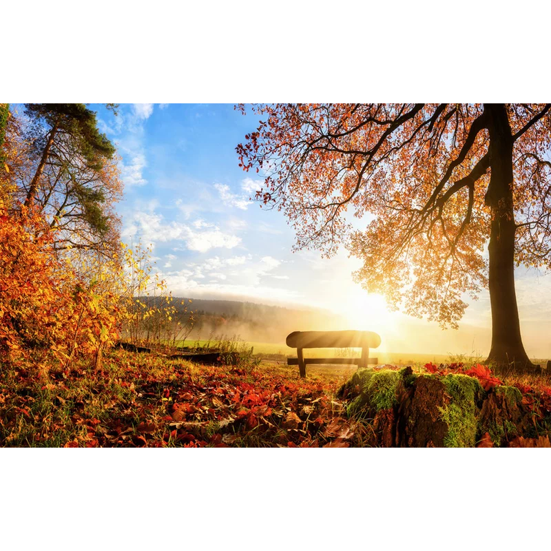 AUTUMN
