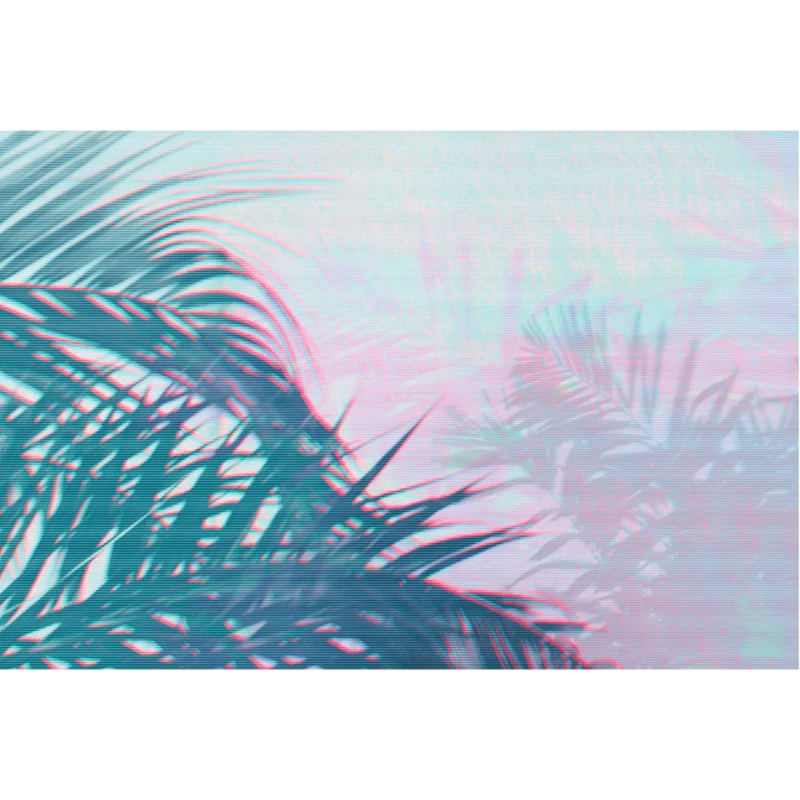 DIGITAL PALMS