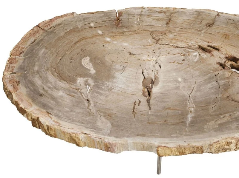 Casa Padrino Luxus Couchtisch Naturfarben / Silber 115 x 68 x H. 35 cm - Edler Wohnzimmertisch mit versteinerter Holz Tischplatte und Edelstahl Beinen - Luxus Wohnzimmer Möbel