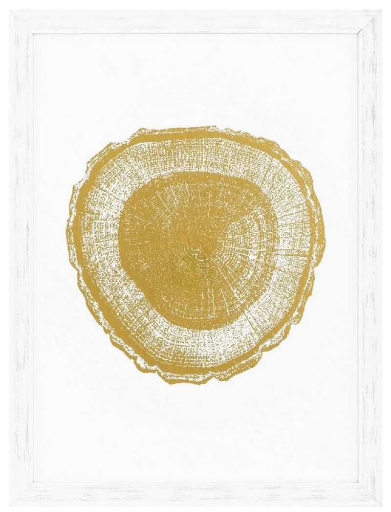 Casa Padrino Luxus Bilder Set Baumscheiben Jahresringe Weiß / Gold 61,5 x H. 82 cm - Kunstdrucke - Wandbilder - Wanddeko - Deko Accessoires