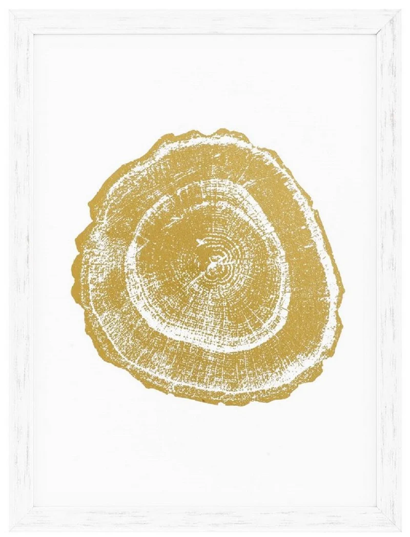 Casa Padrino Luxus Bilder Set Baumscheiben Jahresringe Weiß / Gold 61,5 x H. 82 cm - Kunstdrucke - Wandbilder - Wanddeko - Deko Accessoires
