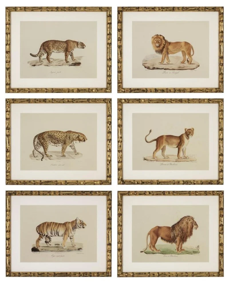 Casa Padrino Deko Bilder Set Löwen Tiger Jaguare Antik Gold 54 x H. 44 cm - Luxus Wanddekoration