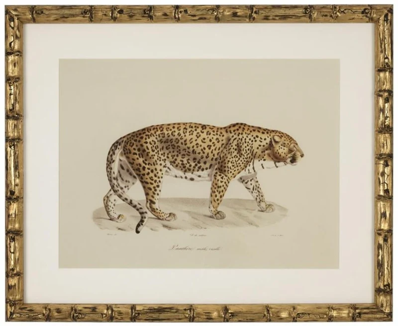 Casa Padrino Deko Bilder Set Löwen Tiger Jaguare Antik Gold 54 x H. 44 cm - Luxus Wanddekoration