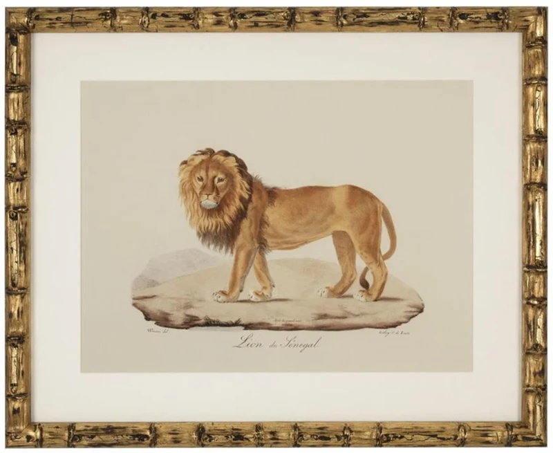 Casa Padrino Deko Bilder Set Löwen Tiger Jaguare Antik Gold 54 x H. 44 cm - Luxus Wanddekoration
