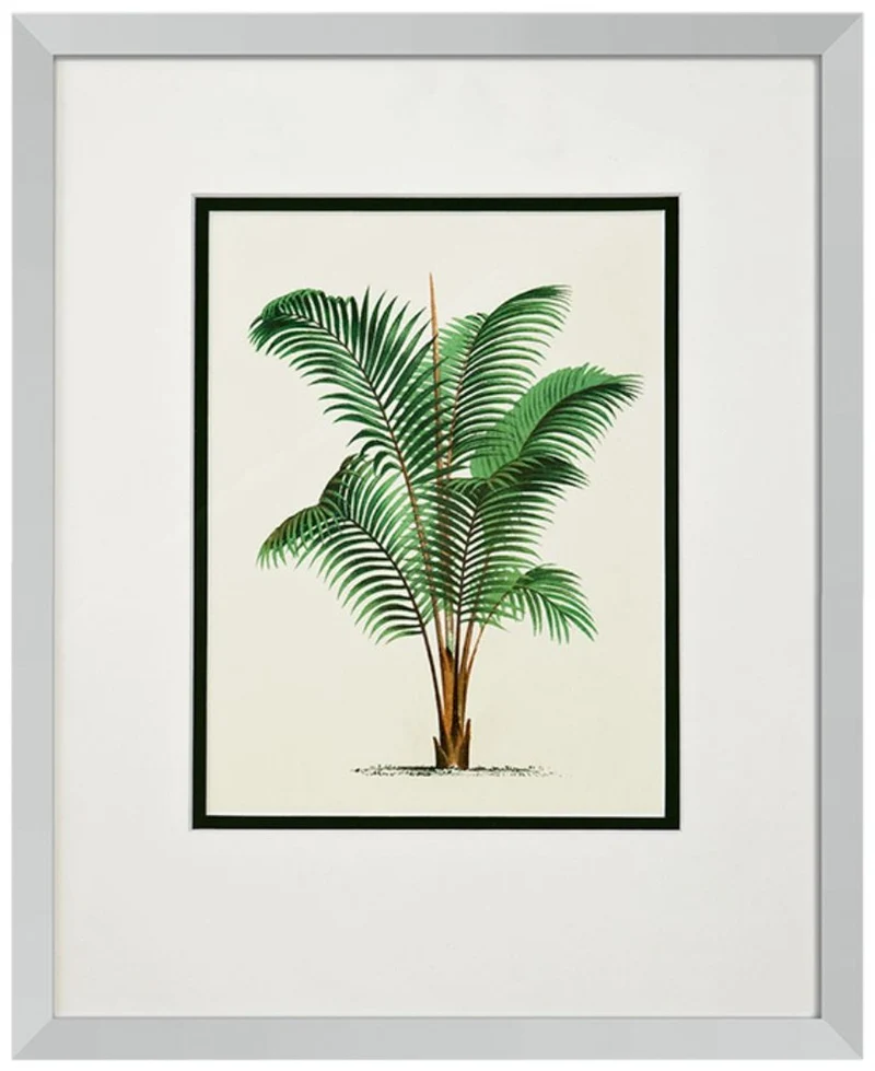 Casa Padrino Bilder / Kunstdruck 4er Set Palmen Mehrfarbig 43 x H. 53 cm - Luxus Deko