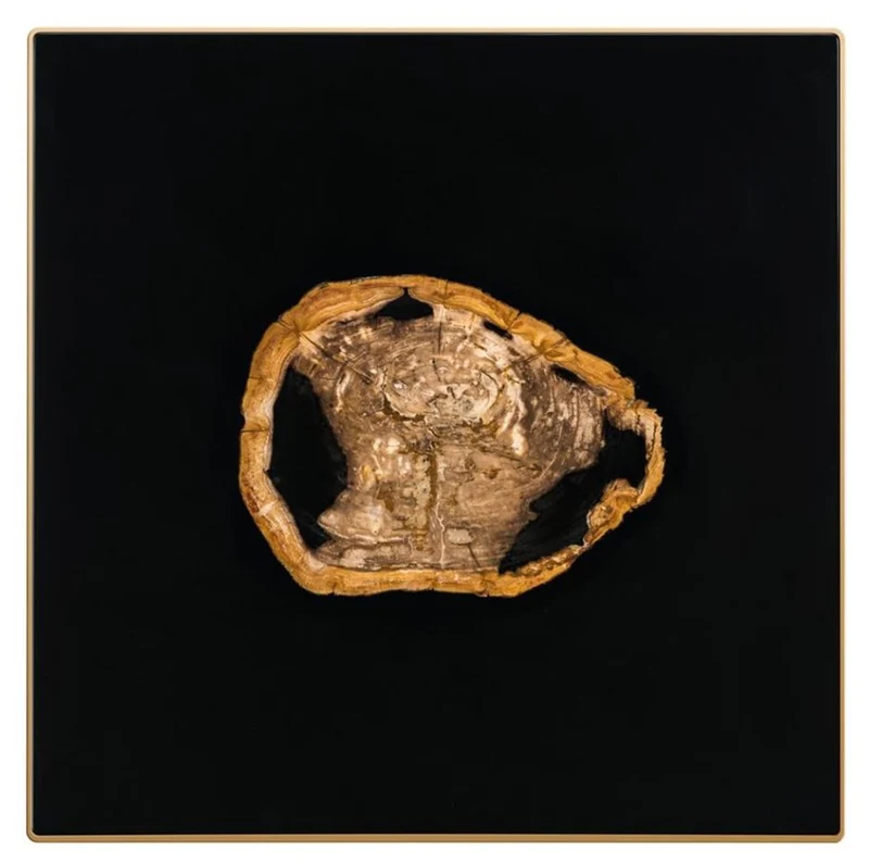 Casa Padrino Designer Couchtisch mit eingearbeitetem versteinertem Holz - Limited Edition